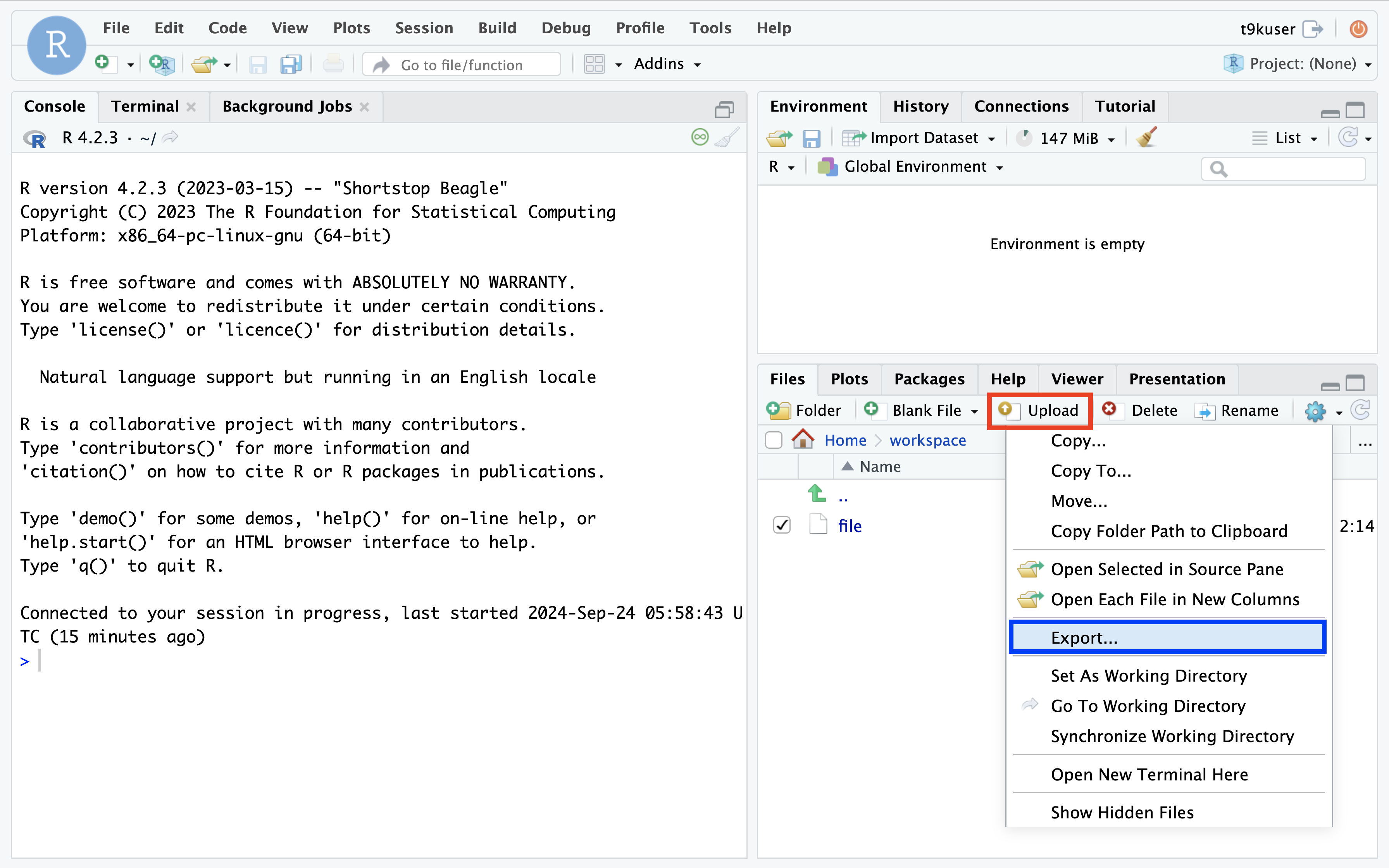 rstudio-upload-download